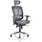 Mirage Mesh Back Executive Chair, Headrest, Height Adjustable Arms, Black - Delivered Built