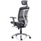 Mirage Mesh Back Executive Chair, Headrest, Height Adjustable Arms, Black - Delivered Built