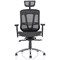 Mirage Mesh Back Executive Chair, Headrest, Height Adjustable Arms, Black