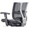 Mirage Mesh Back Executive Chair, Headrest, Height Adjustable Arms, Black