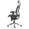 Mirage Mesh Back Executive Chair, Headrest, Height Adjustable Arms, Black