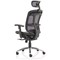 Mirage Mesh Back Executive Chair, Headrest, Height Adjustable Arms, Black