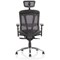 Mirage Mesh Back Executive Chair, Headrest, Height Adjustable Arms, Black