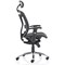 Mirage Mesh Back Executive Chair, Headrest, Height Adjustable Arms, Black