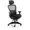 Stealth Shadow Ergo Mesh Back Posture Chair, Headrest, Height Adjustable Arms, Black