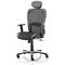 Victor Leather & Mesh Executive Chair, Headrest,, Height Adjustable Arms, Black