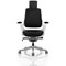 Zure Executive Chair, Headrest, Height Adjustable Arms, Black