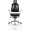 Zure Executive Mesh Chair, Headrest, Height Adjustable Arms, Charcoal