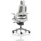 Zure Executive Mesh Chair, Headrest, Height Adjustable Arms, Charcoal
