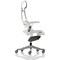 Zure Elastomer Executive Chair, Headrest, Height Adjustable Arms, Grey