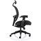 Amaze Chair, Headrest, Height Adjustable Arms, Black