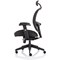 Amaze Chair, Headrest, Height Adjustable Arms, Black