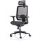 Ergo Twist Mesh Operator Chair, Headrest, Height Adjustable Arms, Black