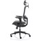 Ergo Twist Mesh Operator Chair, Headrest, Height Adjustable Arms, Black