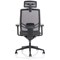 Ergo Twist Mesh Operator Chair, Headrest, Height Adjustable Arms, Black