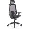 Ergo Twist Mesh Operator Chair, Headrest, Height Adjustable Arms, Black