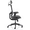 Ergo Twist Mesh Operator Chair, Headrest, Height Adjustable Arms, Black