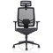 Ergo Twist Mesh Operator Chair, Headrest, Height Adjustable Arms, Black