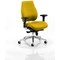 Chiro Plus Ergo Posture Chair, Height Adjustable Arms, Senna Yellow
