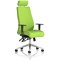 Onyx Posture Chair, Headrest, Height Adjustable Arms, Myrrh Green