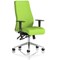 Onyx Posture Chair, Height Adjustable Arms, Myrrh Green