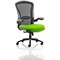 Houston Heavy Duty Mesh Back Task Operator Chair, Height Adjustable Arms, Myrrh Green