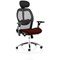 Sanderson II Mesh Back Operator Chair, Headrest, Height Adjustable Arms, Ginseng Chilli