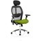 Sanderson II Mesh Back Operator Chair, Headrest, Height Adjustable Arms, Myrrh Green