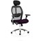 Sanderson II Mesh Back Operator Chair, Headrest, Height Adjustable Arms, Tansy Purple