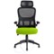 Iris Task Mesh Back Operator Chair, Headrest, Folding Arms, Myrrh Green
