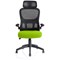 Iris Task Operator Chair, Black Mesh Back, Myrrh Green Fabric Seat, With Headrest