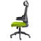 Iris Task Mesh Back Operator Chair, Headrest, Folding Arms, Myrrh Green