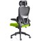 Iris Task Mesh Back Operator Chair, Headrest, Folding Arms, Myrrh Green