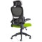 Iris Task Mesh Back Operator Chair, Headrest, Folding Arms, Myrrh Green