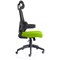 Iris Task Mesh Back Operator Chair, Headrest, Folding Arms, Myrrh Green