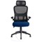 Iris Task Mesh Back Operator Chair, Headrest, Folding Arms, Stevia Blue