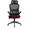 Iris Task Mesh Back Operator Chair, Headrest, Folding Arms, Ginseng Chilli