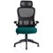 Iris Task Mesh Back Operator Chair, Headrest, Folding Arms, Maringa Teal