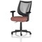 Camden Mesh Back Chair, Fixed Height Arms, Rivet Forge