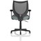 Camden Mesh Back Chair, Fixed Height Arms, Rivet Tensile