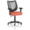 Camden Mesh Back Chair, Fixed Height Arms, Quest Crab