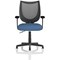 Camden Mesh Back Chair, Fixed Height Arms, Quest Limpet
