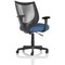 Camden Mesh Back Chair, Fixed Height Arms, Quest Limpet