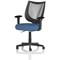Camden Mesh Back Chair, Fixed Height Arms, Quest Limpet