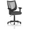 Camden Mesh Back Chair, Fixed Height Arms, Quest Mussel