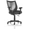 Camden Mesh Back Chair, Fixed Height Arms, Quest Mussel