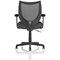 Camden Mesh Back Chair, Fixed Height Arms, Quest Mussel