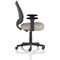 Camden Mesh Back Chair, Fixed Height Arms, Quest Salt