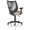 Camden Mesh Back Chair, Fixed Height Arms, Quest Salt