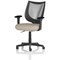 Camden Mesh Back Chair, Fixed Height Arms, Quest Salt